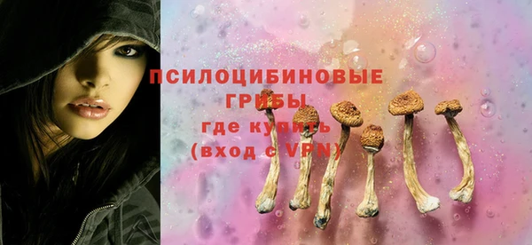 ECSTASY Белоозёрский
